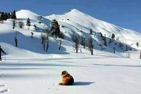 Kedarkantha Landscape